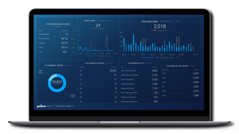 Gallant Marketing Group - Hinds Spices - Digital Report