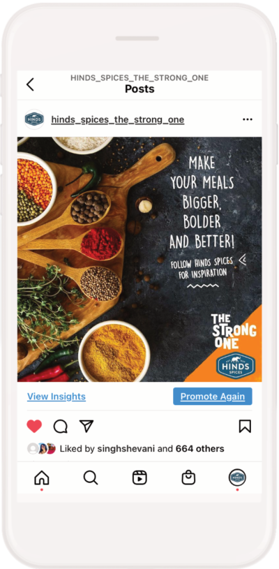 Gallant Marketing Group - Hinds Spices - Instagram Campaigns - Example 3
